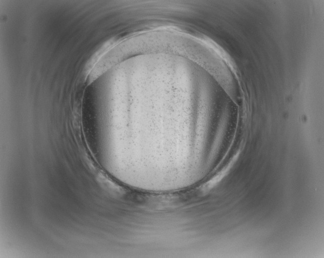 X0000080191001200612221336