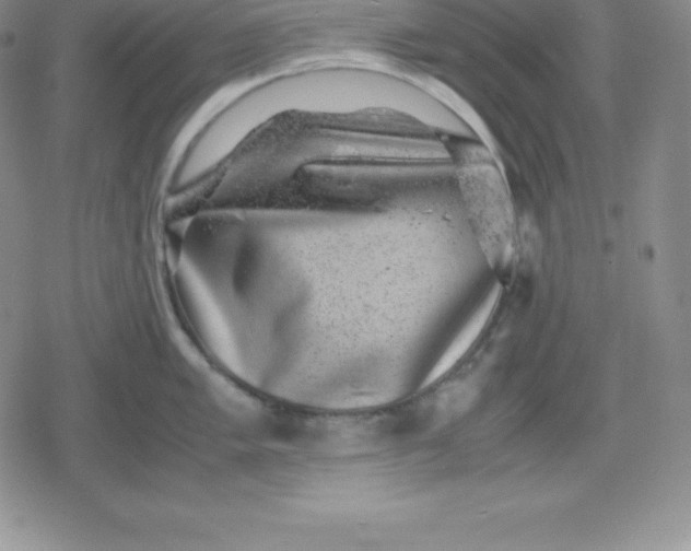 X0000080191005200612221336