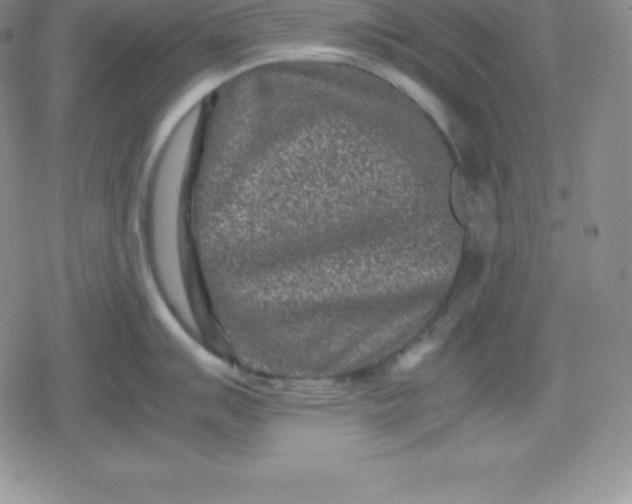 X0000080191007200612221336