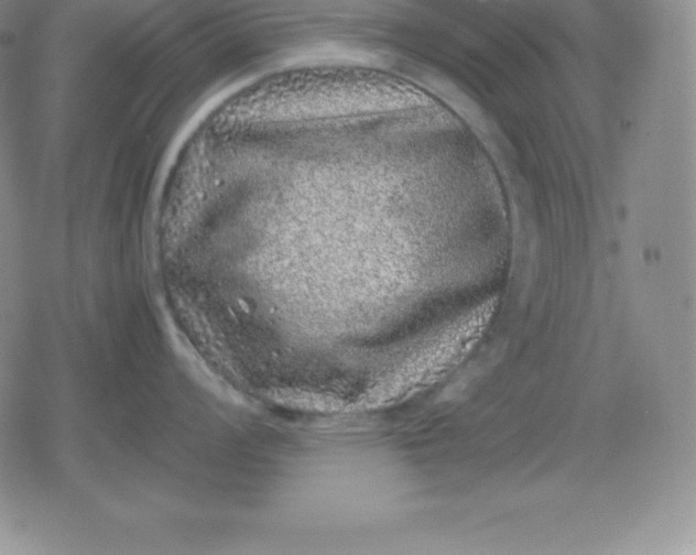 X0000080191008200612221336