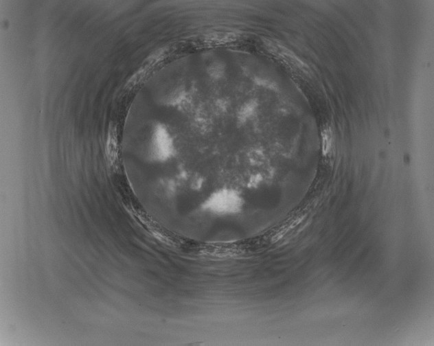 X0000080191011200612221335