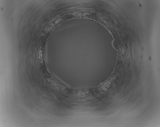 X0000080191013200612221335
