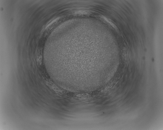 X0000080191015200612221335