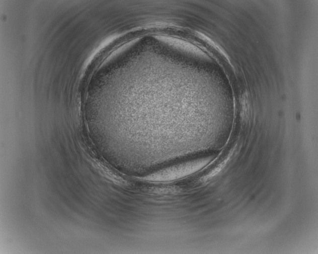 X0000080191021200612221335