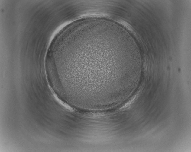 X0000080191030200612221335