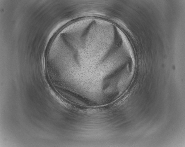X0000080191032200612221335