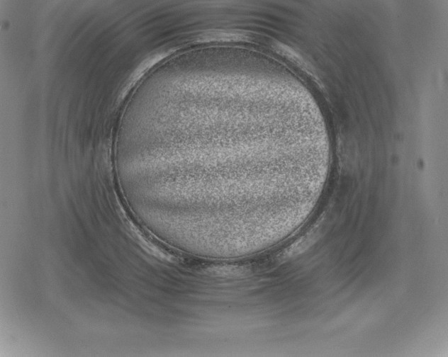 X0000080191033200612221335