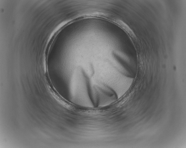 X0000080191036200612221335