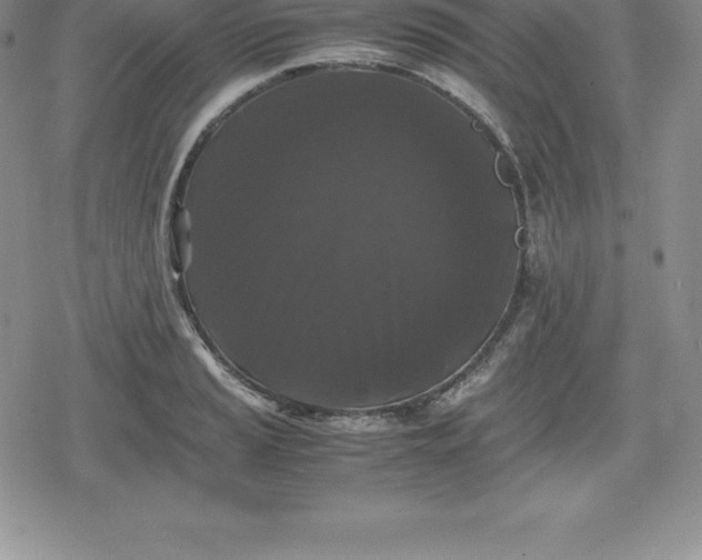 X0000080191037200612221336