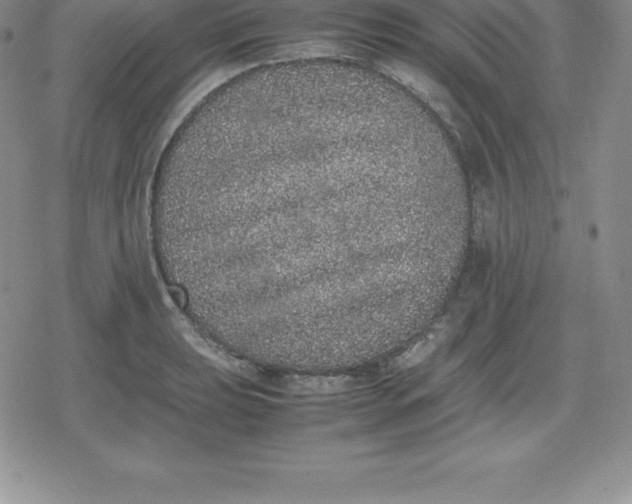 X0000080191039200612221336