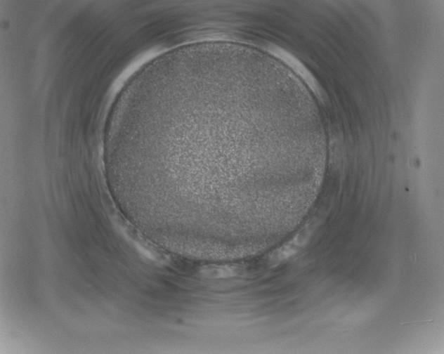 X0000080191051200612221336