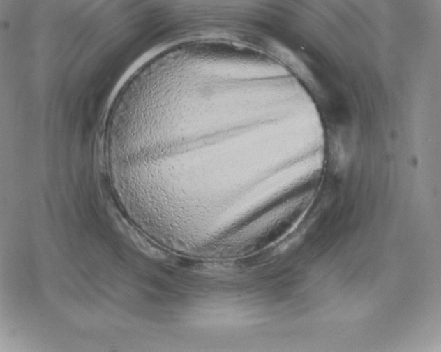 X0000080191052200612221336