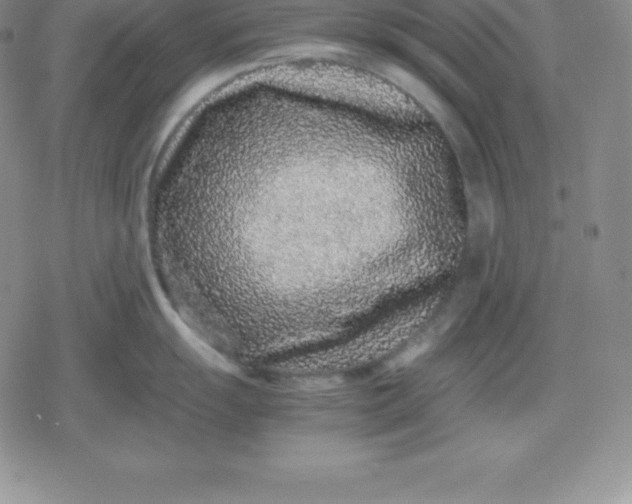 X0000080191055200612221336