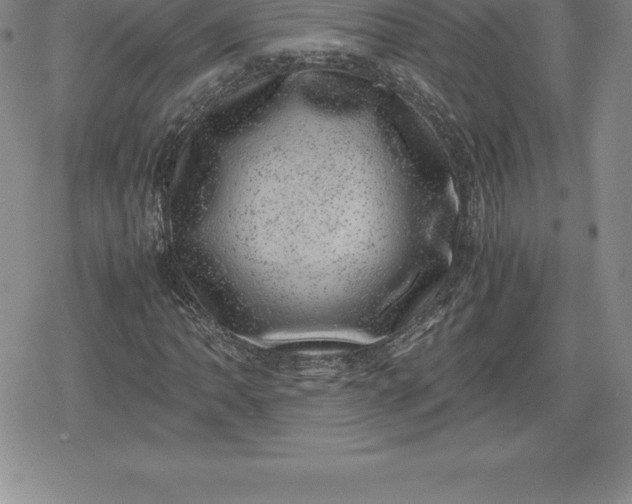X0000080191062200612221335