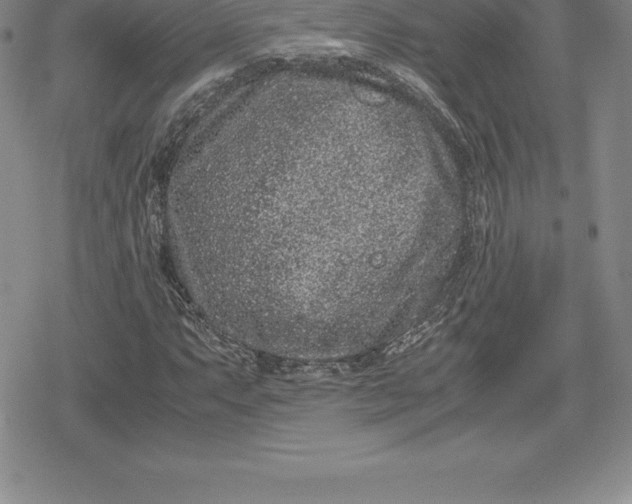 X0000080191063200612221335