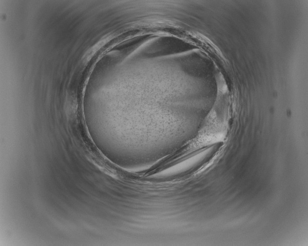 X0000080191065200612221335