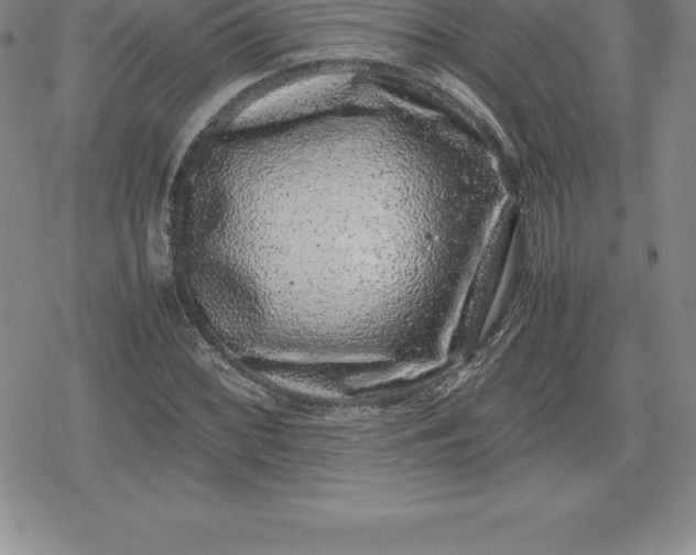 X0000080191068200612221335