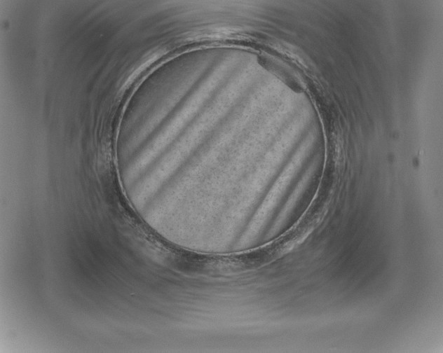 X0000080191073200612221335