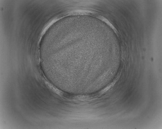 X0000080191075200612221335
