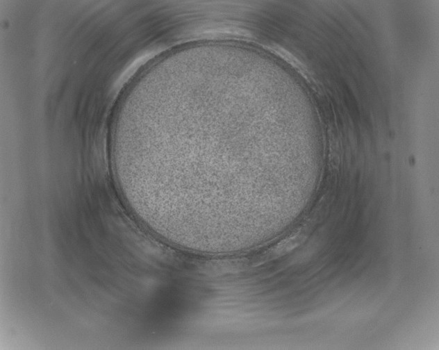 X0000080191078200612221335