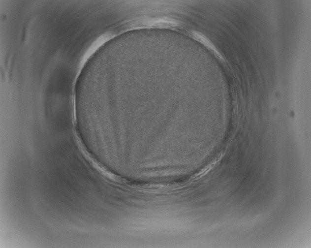 X0000080191079200612221335