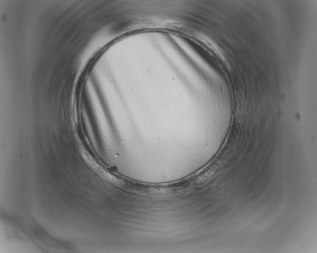 X0000080191080200612221335