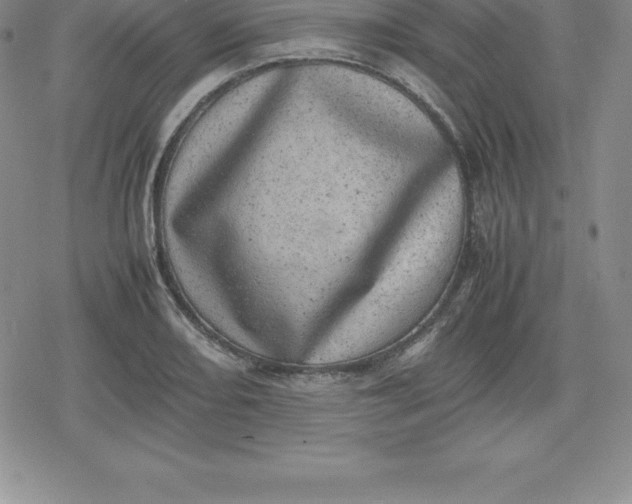 X0000080191082200612221335