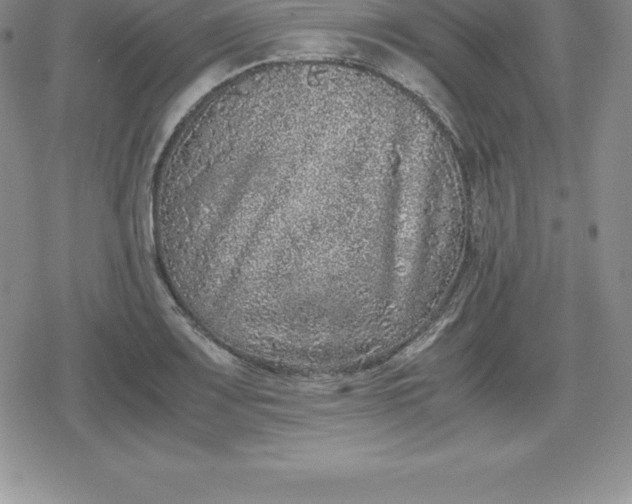 X0000080191083200612221335