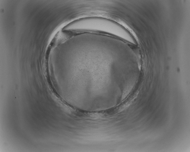 X0000080191085200612221335