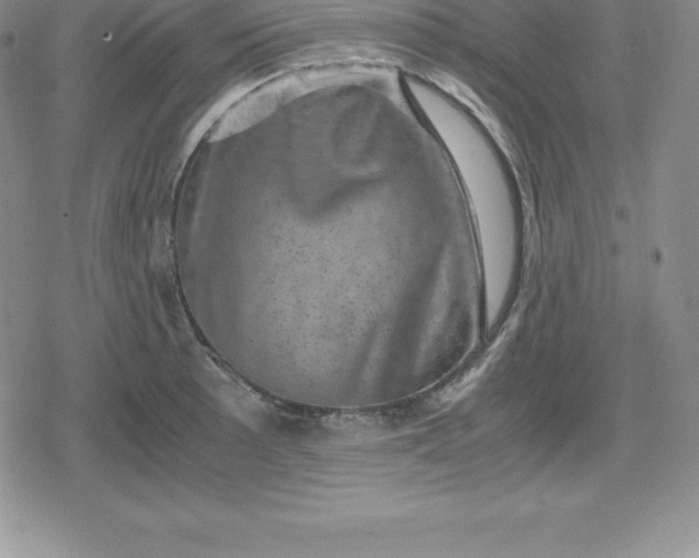 X0000080191089200612221335