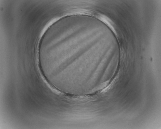 X0000080191093200612221334