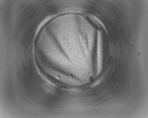 X0000080191096200612221334