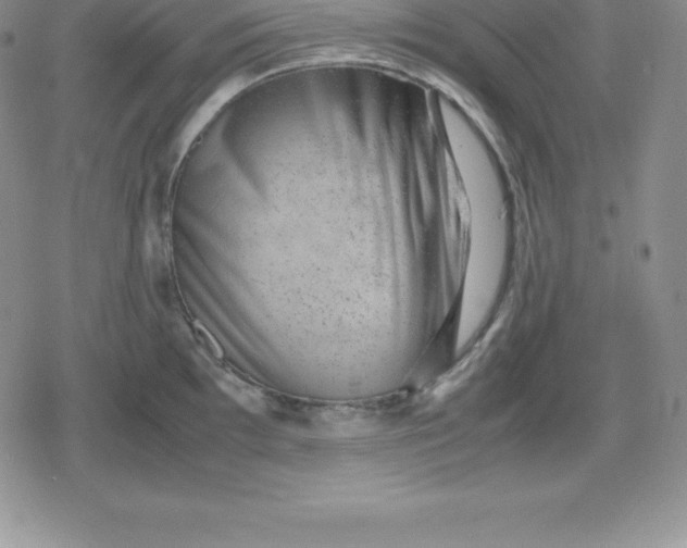 X0000080191097200612221334