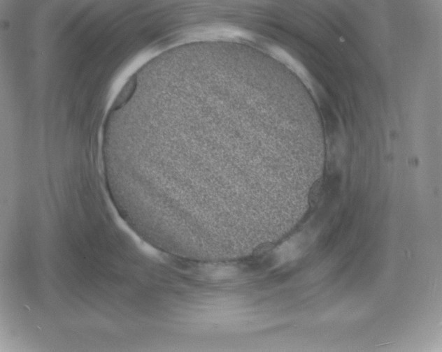 X0000080191103200612221334