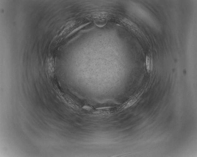 X0000080191107200612221334