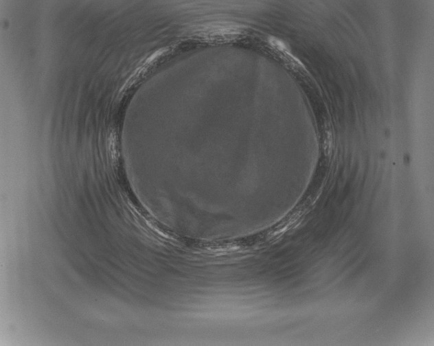 X0000080191108200612221334
