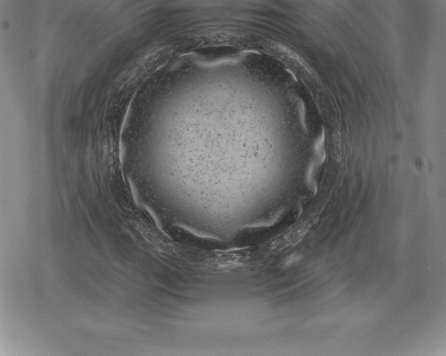 X0000080191111200612221334