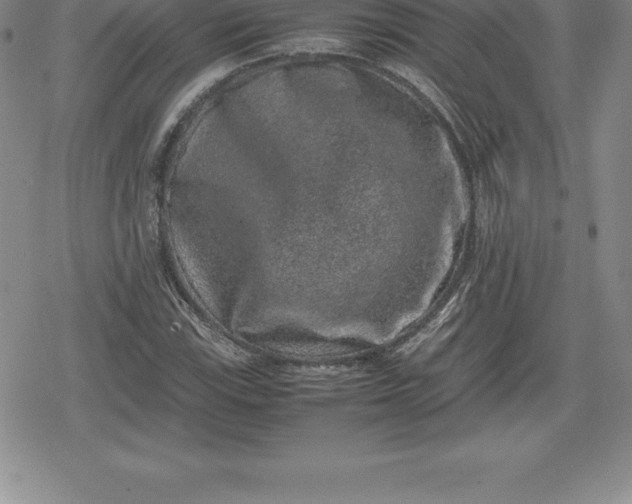 X0000080191115200612221334