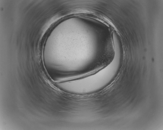 X0000080191116200612221334