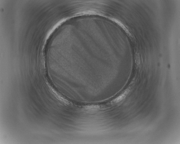 X0000080191118200612221334