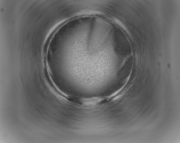 X0000080191124200612221334