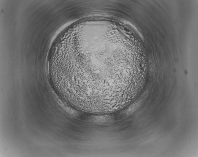 X0000080191125200612221334