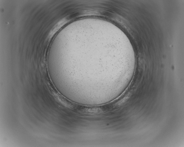 X0000080191129200612221334
