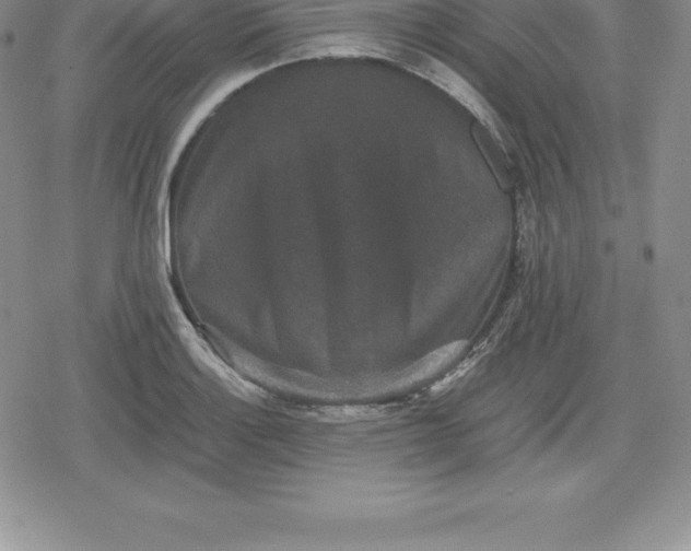 X0000080191132200612221334