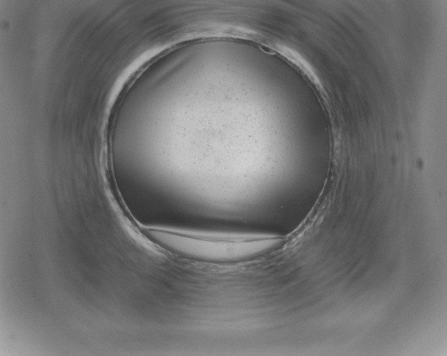 X0000080191136200612221334
