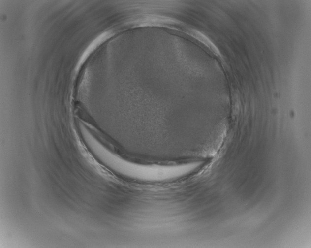 X0000080191138200612221334
