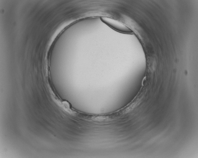 X0000080191140200612221334