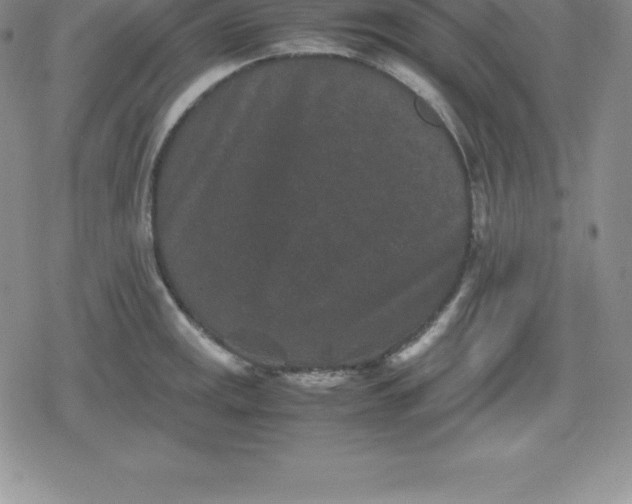 X0000080191141200612221334