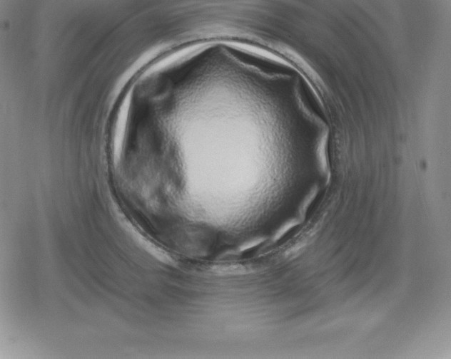X0000080191142200612221334