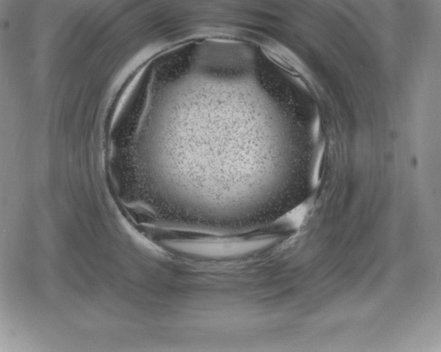 X0000080191143200612221334